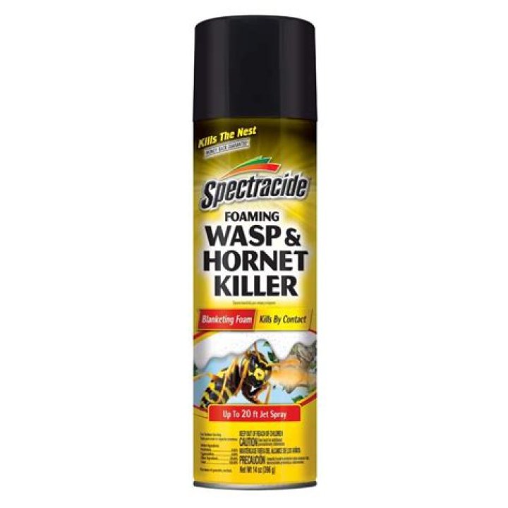 Can wasps eat through spray foam?