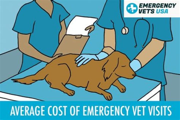 Do Emergency Vets charge up front?