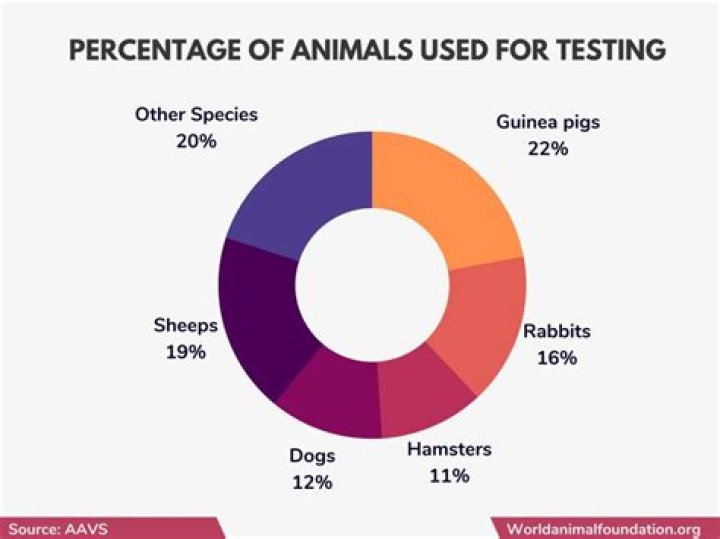 Does Elizabeth Grant test on animals?