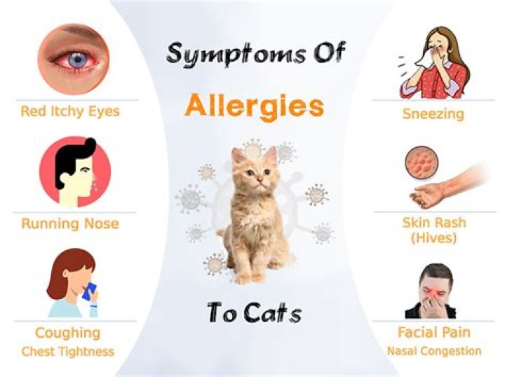 How do I know if I'm allergic to my cat?