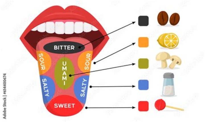 How do people perceive taste