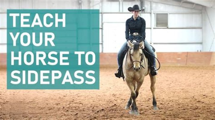 How do you teach a horse to side pass on the ground?