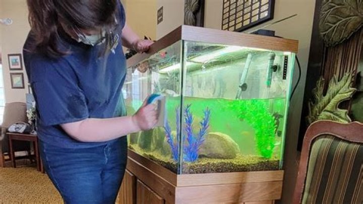 How much does aquarium maintenance cost?