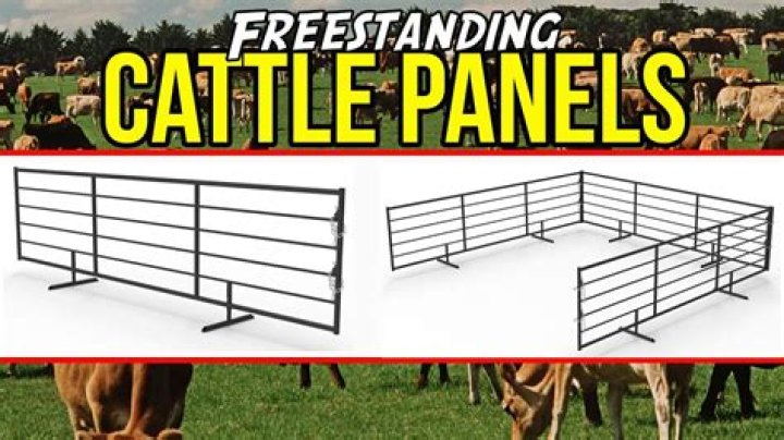 How tall are corral panels?