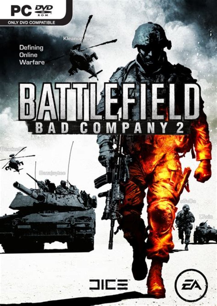 Is Battlefield Bad Company 2 player