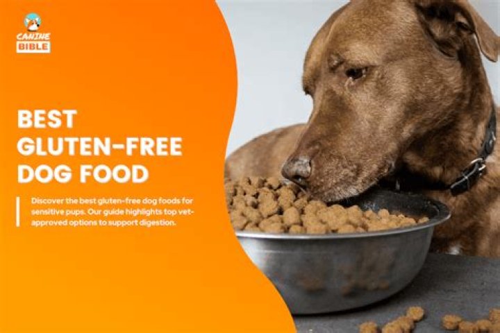 Is there a gluten free dog food?
