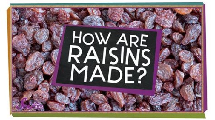 What are raisins made out of?