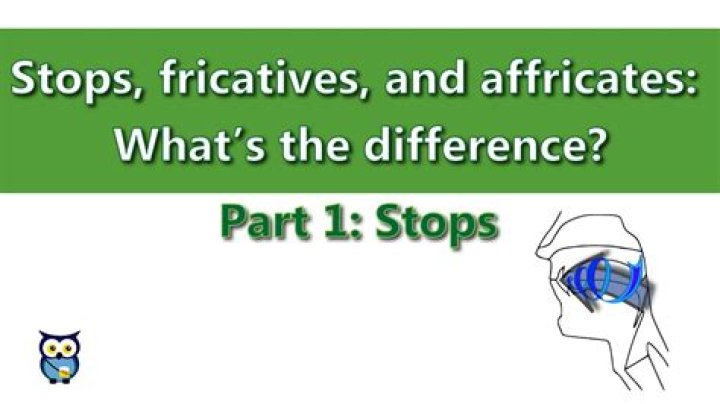 What are stops fricatives and Affricates