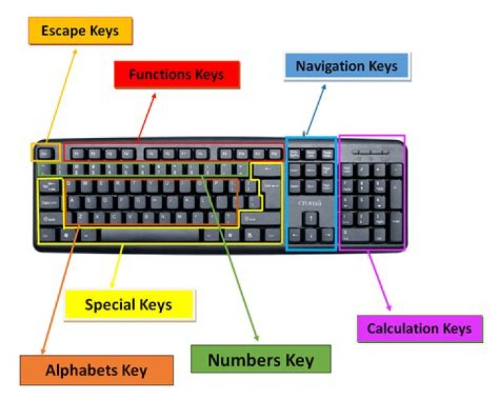 What are the four basic types of keys on a keyboard?
