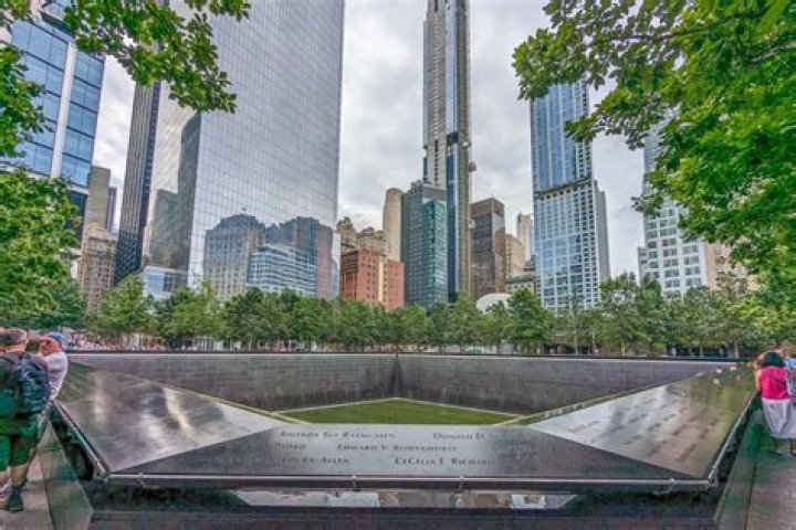 What do the trees represent at the 911 Memorial