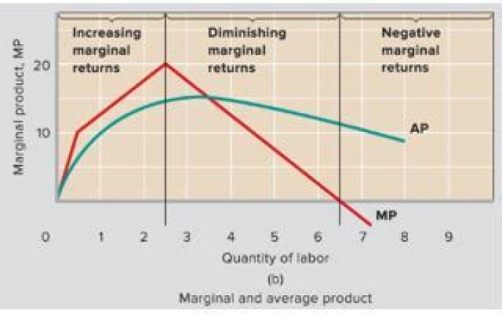 What does it mean if marginal product is negative?