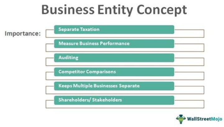 What is a business entity principle?