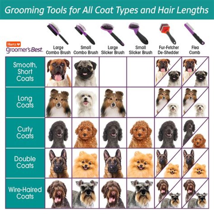 What kind of brush is best for a German shepherd?