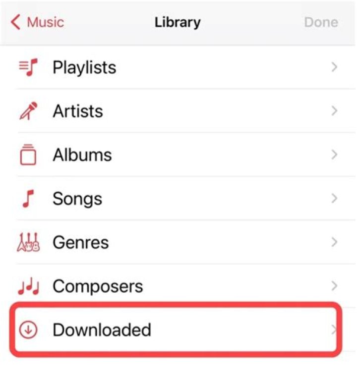 Where does downloaded music go iPhone?