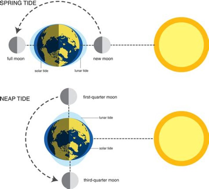 Where is the moon during neap tides?