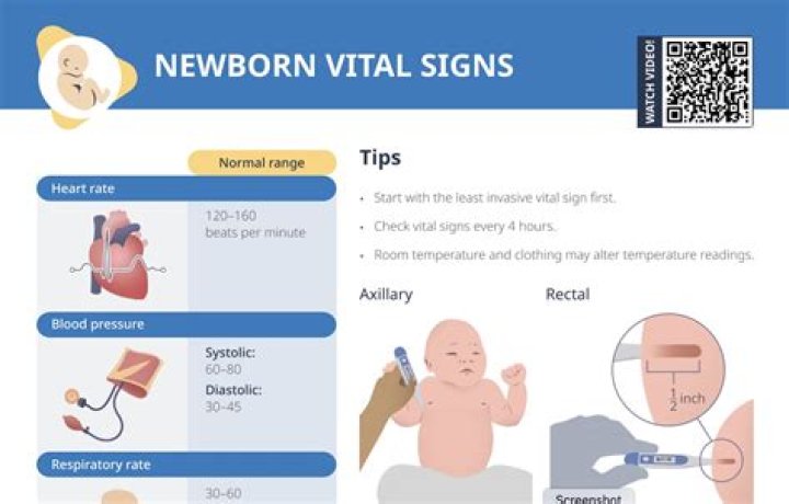 Who is a normal neonate?