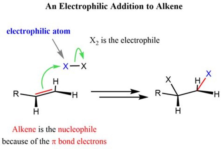 Why do alkenes show electrophilic addition reaction?